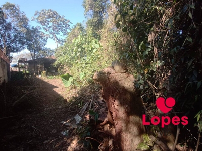 Terreno, 1000 m² - Foto 3