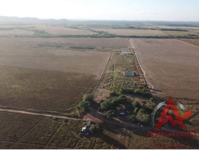 Fazenda-Sítio-Chácara, 4236 hectares - Foto 1