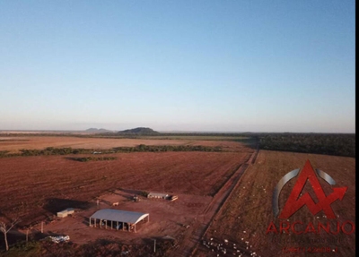 Fazenda-Sítio-Chácara, 4236 hectares - Foto 4