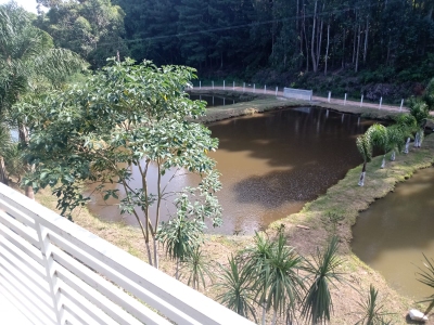 Chácara, 2 quartos, 2 hectares - Foto 5