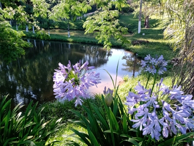Chácara, 2 quartos, 2 hectares - Foto 3