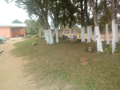 Chácara, 4 quartos, 5000 m² - Foto 1