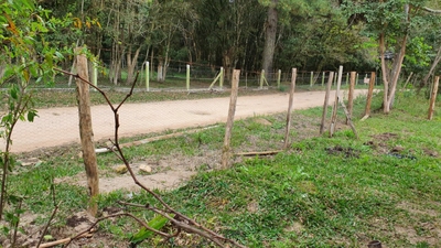 Chácara, 2 quartos, 3130 m² - Foto 2