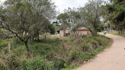 Chácara, 2 quartos, 3130 m² - Foto 5