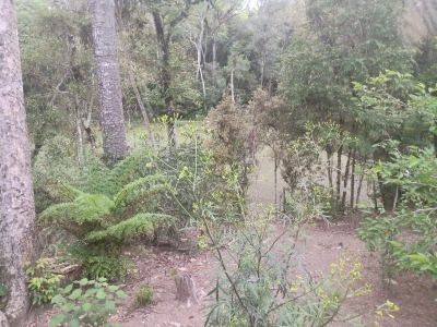 Chácara, 3 quartos, 54 m² - Foto 5