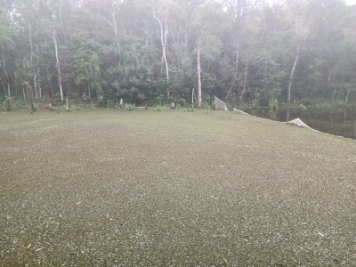 Chácara, 3 quartos, 54 m² - Foto 1