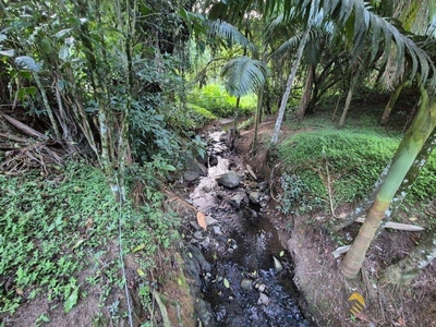 Chácara, 3 quartos, 2 hectares - Foto 4