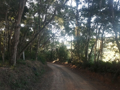 Terreno, 1000 m² - Foto 1