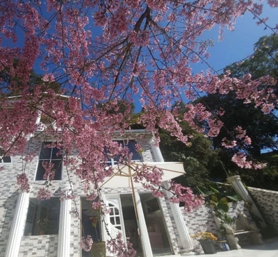 Casa, 4 quartos - Foto 1