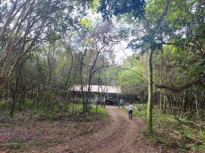 Sítio, 1 quarto, 2 hectares - Foto 1