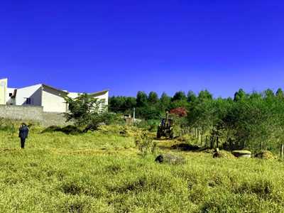 Terreno, 6450 m² - Foto 4