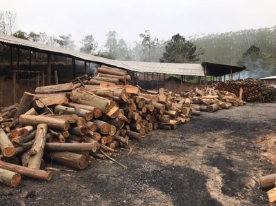 Sítio, 2 quartos - Foto 3