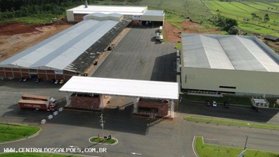 Depósito-Galpão, 1000 m² - Foto 2