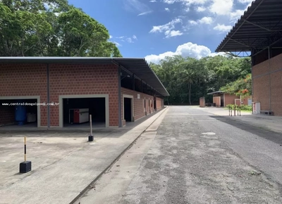 Depósito-Galpão, 4000 m² - Foto 2