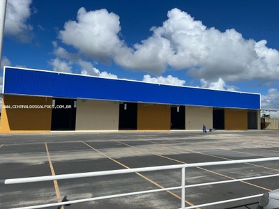 Depósito-Galpão - Foto 1