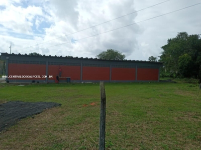 Depósito-Galpão, 400 m² - Foto 3