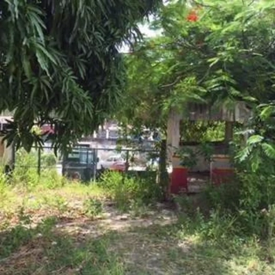 Terreno, 5000 m² - Foto 2