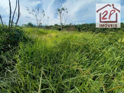 Terreno, 10000 m² - Foto 2