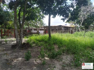 Chácara, 4 quartos - Foto 1