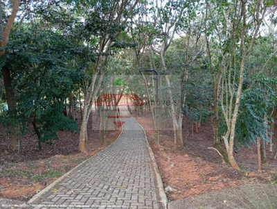 Terreno, 256 m² - Foto 3