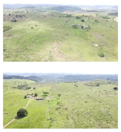 Fazenda-Sítio-Chácara, 410 hectares - Foto 3