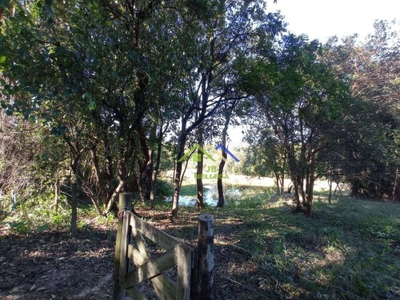 Chácara, 2 quartos, 4 hectares - Foto 2