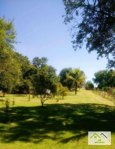 Chácara, 3 quartos, 3330 m² - Foto 3