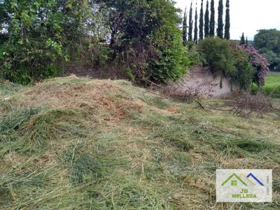 Terreno, 748 m² - Foto 3