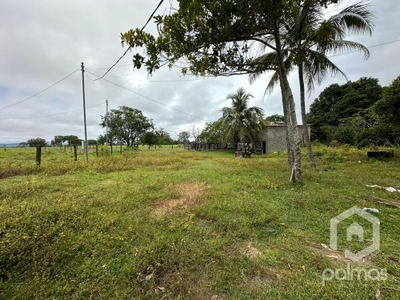 Fazenda, 890 m² - Foto 3