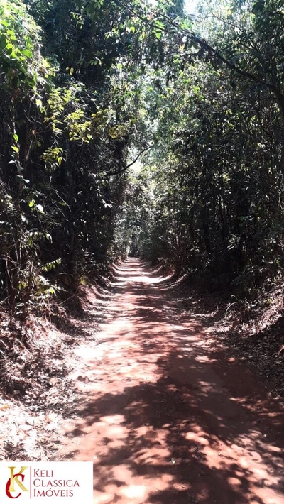 Sítio - Foto 3