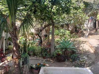 Chácara, 2 quartos - Foto 4