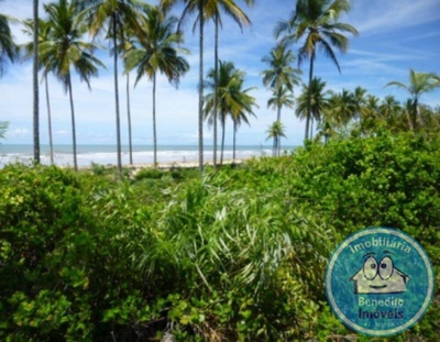 Terreno, 10000 m² - Foto 2