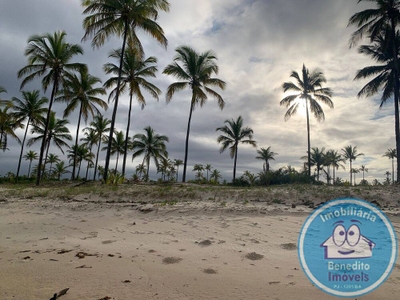 Terreno, 10000 m² - Foto 1