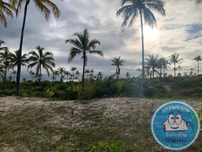 Terreno, 10000 m² - Foto 4