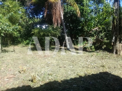 Casa, 5 quartos, 990 m² - Foto 5