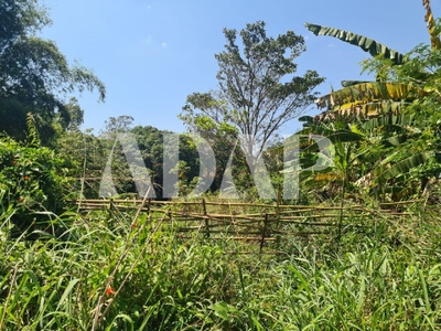 Terreno, 2611 m² - Foto 4