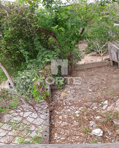 Casa, 2 quartos, 1000 m² - Foto 4