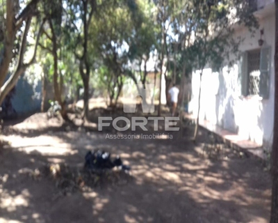 Casa, 3 quartos, 1000 m² - Foto 1