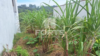 Terreno, 250 m² - Foto 4