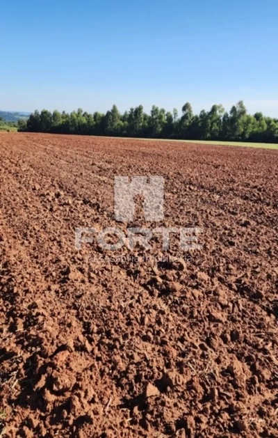 Fazenda-Sítio-Chácara, 1722 m² - Foto 4