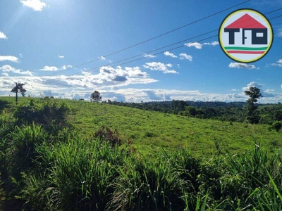 Fazenda-Sítio-Chácara, 1830 hectares - Foto 2