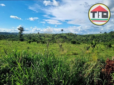 Fazenda-Sítio-Chácara, 1830 hectares - Foto 1