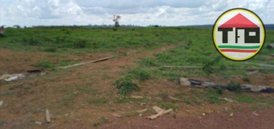 Fazenda, 1839 hectares - Foto 3