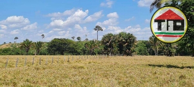 Fazenda-Sítio-Chácara, 339 hectares - Foto 3