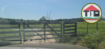Fazenda-Sítio-Chácara, 339 hectares - Foto 2