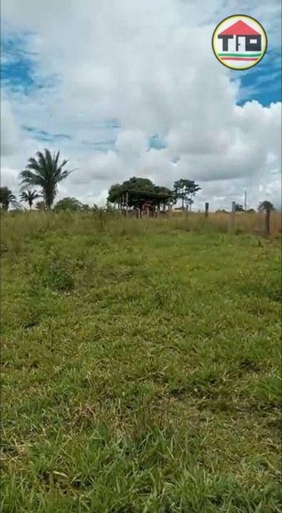 Fazenda-Sítio-Chácara, 97 hectares - Foto 1