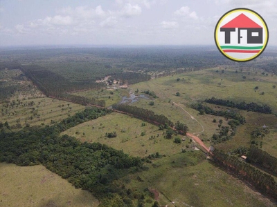 Fazenda-Sítio-Chácara, 8712 hectares - Foto 2