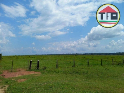 Fazenda-Sítio-Chácara, 11132 hectares - Foto 3