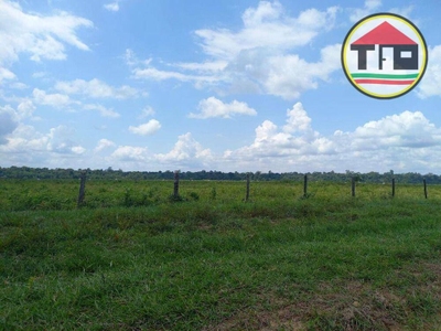 Fazenda-Sítio-Chácara, 11132 hectares - Foto 4