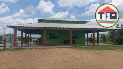 Fazenda-Sítio-Chácara, 290 hectares - Foto 1